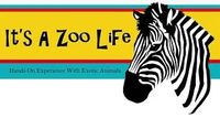 It's A Zoo Life coupons